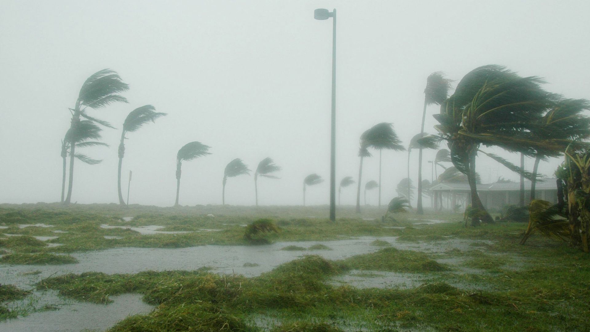 ¿Viene más lluvia para Aguascalientes? Alertan por zonas con potencial ciclónico en próximos días en el Pacífico