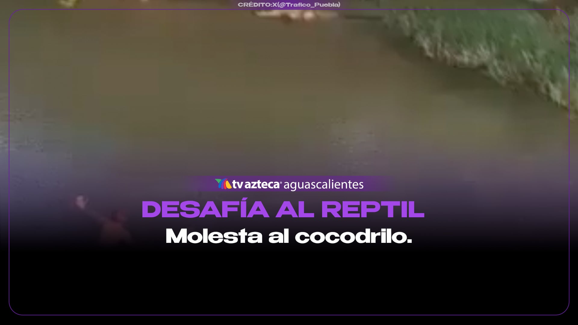 VIDEO| Hombre reta a cocodrilo dentro del río Cuale en Puerto Vallarta