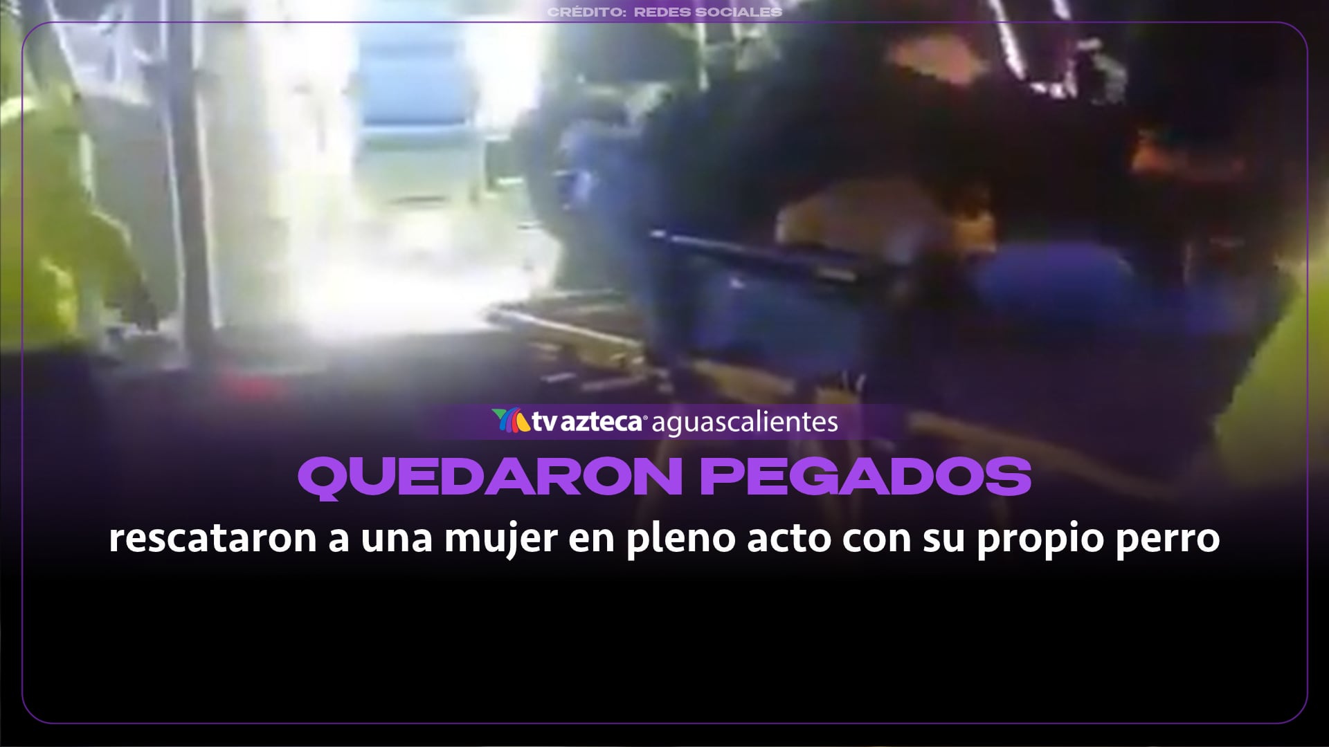 VIDEO: Así rescataron a una mujer en pleno acto con su propio perro, todo quedo grabado