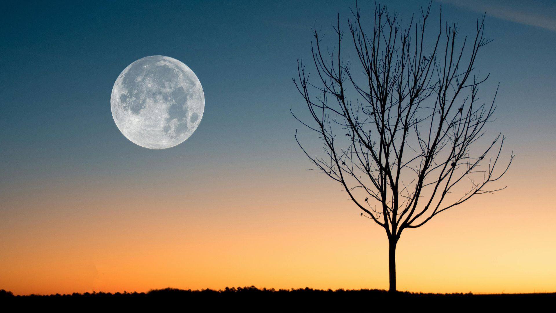 ¿A qué hora sale la Luna Llena Fría hoy 15 de diciembre desde Aguascalientes