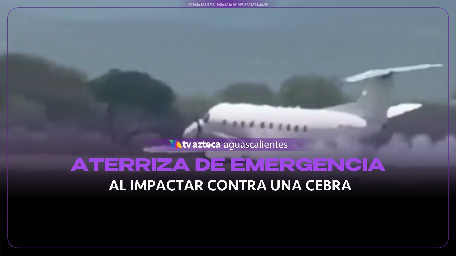 VIDEO: Avión ATERRIZA DE EMERGENCIA tras IMPACTAR contra una CEBRA