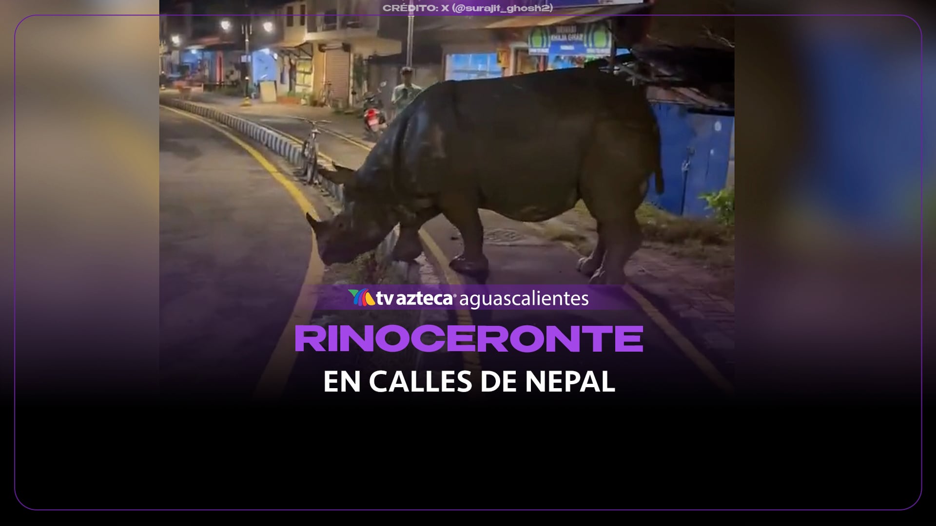 VIDEO: Rinoceronte nocturno recorre las calles de Nepal