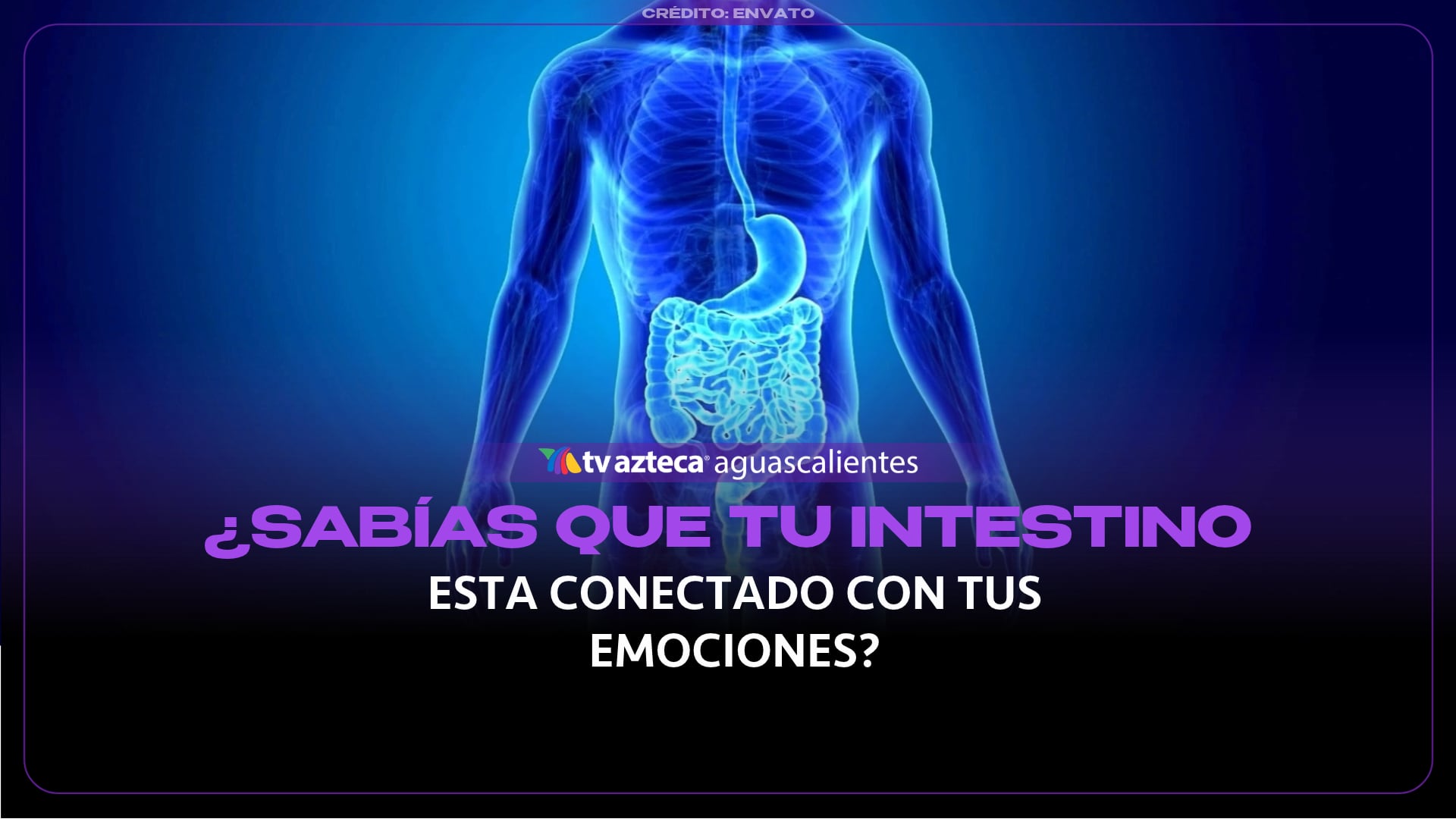 ¿Sabías que tu intestino está conectado con tus emociones?