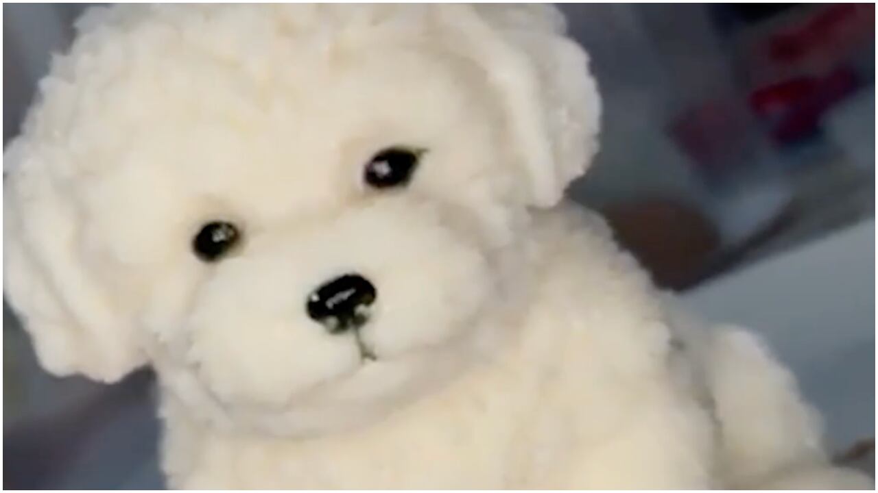 VIDEO_ ¡Parece real! Gelatina de perrito se vuelve viral por su realismo