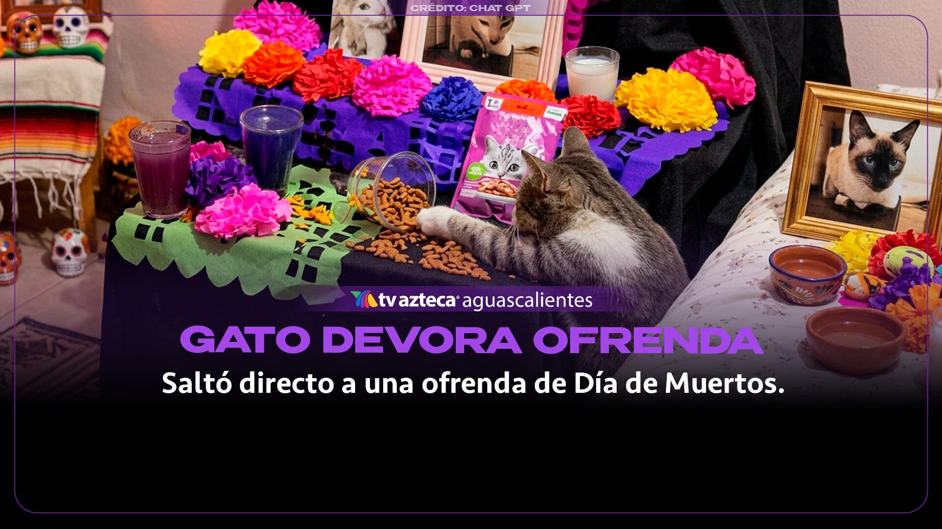 ¡Hambriento intruso! Gato se come la ofrenda de Día de Muertos de otro gato