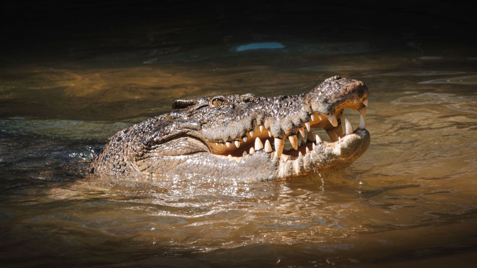 Madre arroja a su hijo de 6 años con discapacidad a un lago lleno de cocodrilos tras discusión 