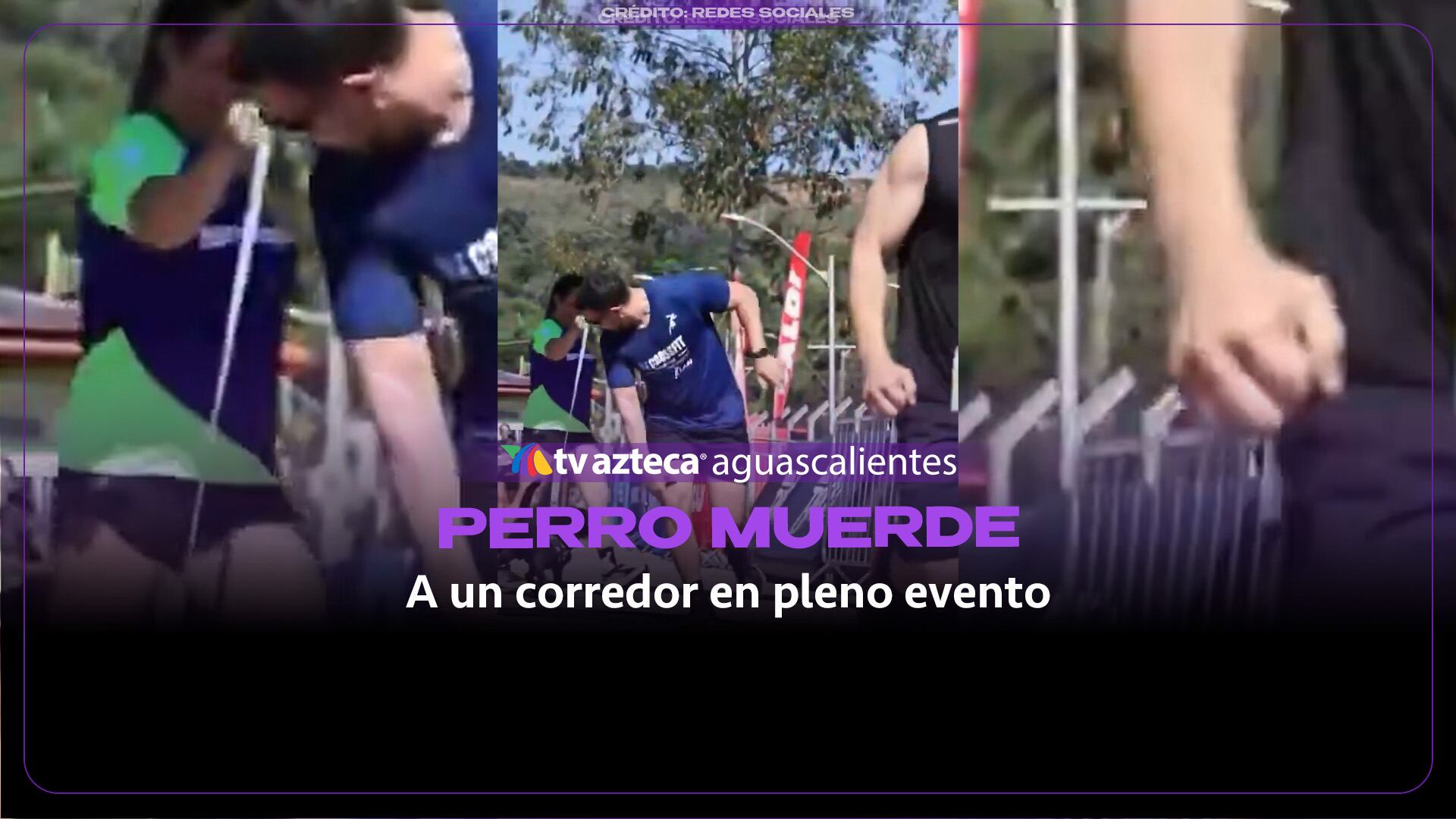 Perro muerde a corredor y su dueña se ríe