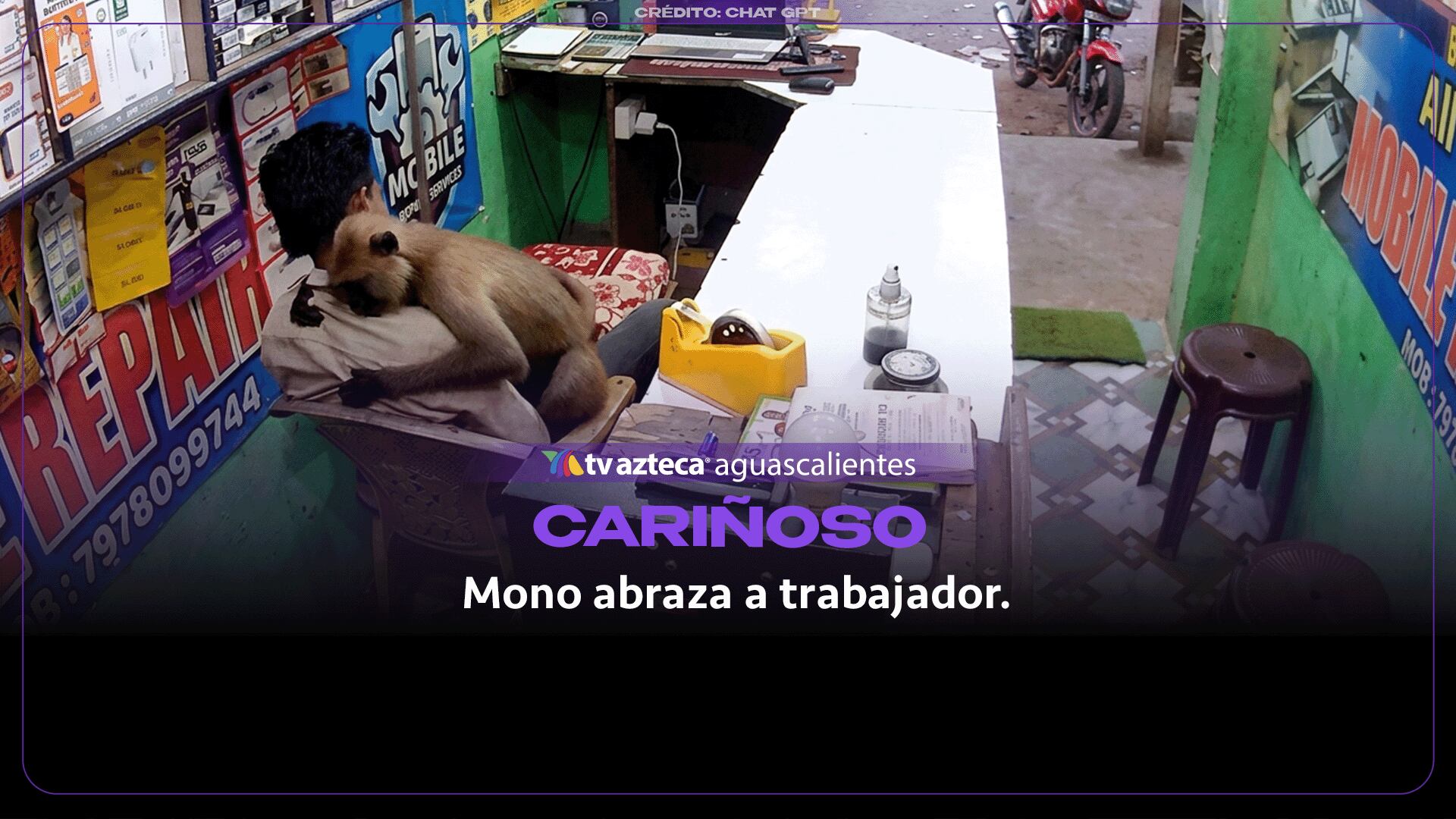 ¡Inesperada visita! Mono abraza a empleado en tienda de la India